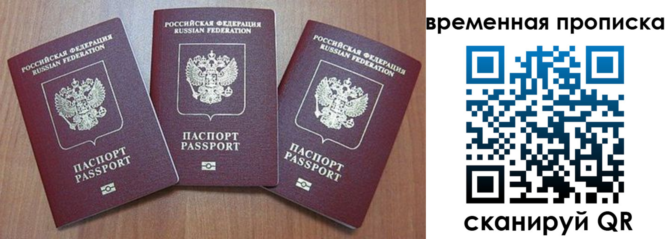 временная регистрация в Мончегорске